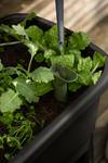 noa potager sur pied living noir